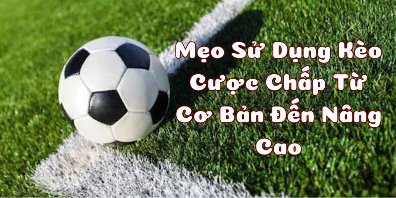 kèo cược chấp ảnh đại diện