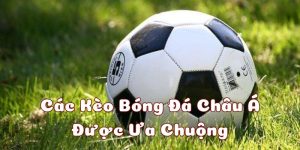 ảnh đại diện bóng đá châu á