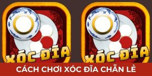 ảnh đại diện cách chơi xóc đĩa chẵn lẻ