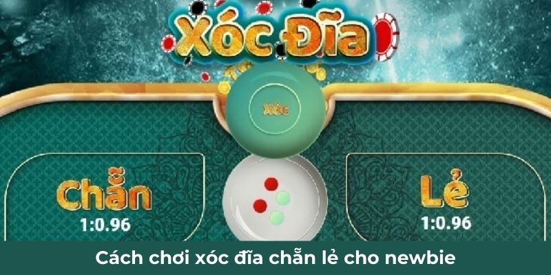 Cách chơi xóc đĩa chẵn lẻ cho newbie