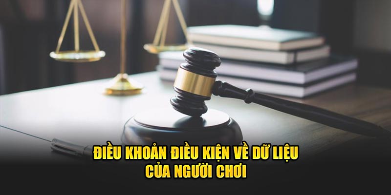 Điều khoản điều kiện về dữ liệu của người chơi