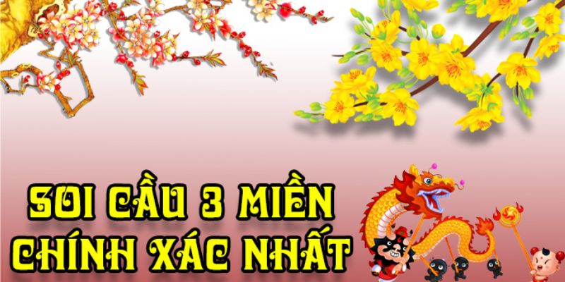 Soi cầu từ lô rơi mang đến hiệu quả khá cao