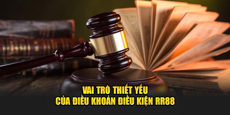 Vai trò thiết yếu của điều khoản điều kiện RR88